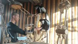 Обезьянки🐒 Колобусы Парк Миниатюр 🌲