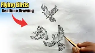 उड़ती हुई चिड़िया कैसे बनाये/ Udti hui chidiya ka chitra | pakshi ka chitra #flying_bird #bird_drawig