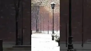 снегопад в городе от нейросети Кандинский. Так себе пока ещё. t.me/chat_gpt_russian