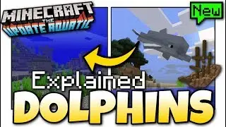 Minecraft - DOLPHIN + TREASURE GUIDE [ Tutorial ] Update Aquatic