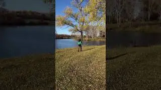 Харизма 💚