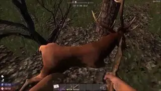 How to Get Animal Hides (7 Days to Die: Alpha 13) - GSBS