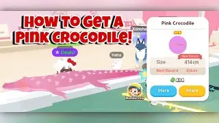 How To Catch A Pink Crocodile | Play Together