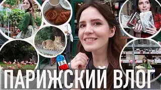 🧡PARIS VLOG - 🐆THE KING'S ZOO, 🛠️NEW RENOVATION SERIES, 🛍️IKEA, AND MY AUTUMN BOOKS🍂