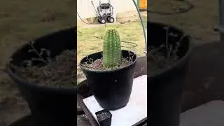 Grow update