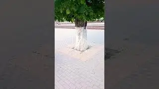21 июля 2024 г.
