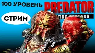 100лвл в Predator: Hunting Grounds. Стрим. Впечатления после недели игры.