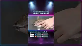 จะเป็นยังไง? ถ้าให้นางแบบมือ ถ่ายโฆษณา "ปลาหมอคางดำ!"
