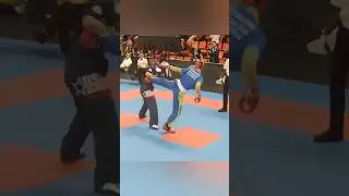 Лучшие моменты Чемпионата мира по Кикбоксингу (Лайт контакт)
