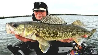 (BIG NEWS) Exploring New Water and Catching A Pile of Fish #walleye #fishing #boating #vikinglodge
