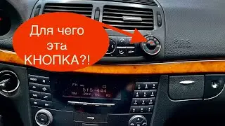 What is the 