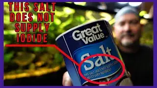 Is "Table Salt" Safe To Use In An Aquarium?