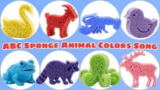 ABC Animals Color Sponge Animals A - Z 🧽🐾 ABC Song for Kids | Learn Animals, Sounds & Colors Fun!