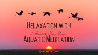 Musica  1 Hora de Meditación con  Sonidos del agua y Música. Relájate, calmar la ansiedad y estrés