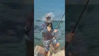 Наживка на меланура которая 100% работает. Морская рыбалка  #fishing #рыбалка #melanur #рокфишинг