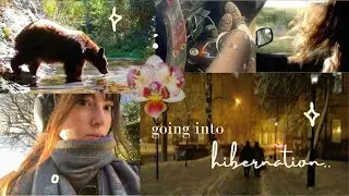 home for winter break! art student diaries