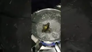 Controllo valvola termostatica Fiat