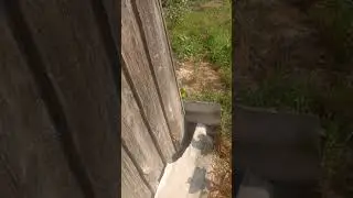 Я прячусь от мультяшного кота в деревне