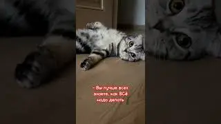 😂 ПЕРВЫЙ ПРИЗНАК ВОЗРАСТНОГО МАРАЗМА 😂