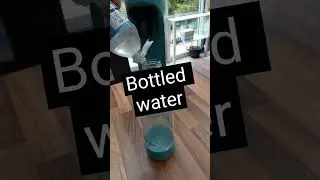 Does tap water taste 'spicy' compared to filtered water? 🔥💧