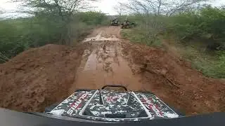 experiencia gorila parte 1