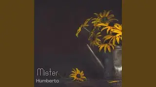 Mister