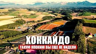 Путешествие по Хоккайдо, японскому острову до которого добираются немногие туристы 🗻🦊🌸