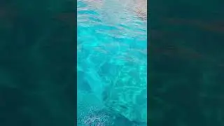 теперь голубая вода