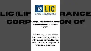 Uncover the Top 5 Life Insurance Companies: Prepare to Be Surprised! life insurance policy