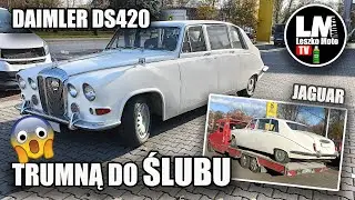 SUPER OKAZJA Z OTOMOTO ANGIELSKI JAGUAR DS420