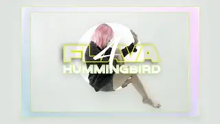 4FLAVA - Hummingbird (Official Music Video)