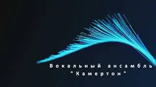 Камертон 2024