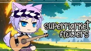 Supermarket Flowers 🌺 || Live2D Animation || Gacha Video Remake