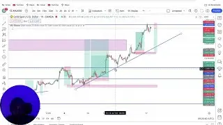 HOW I LOST $8,000 IN 3WEEKS