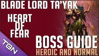 ★ WoW - [Strategy Guide] Blade Lord Ta'yak [Normal and Heroic], ft. Caisha