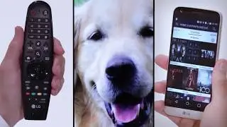 [LG WebOS TV] - LG’s Magic Three  Remote, Zoom, and Phone Connection in LG Smart TV
