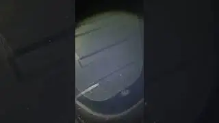 [ASMR] Water tank cleaning interior defect inspection found a spider submerged