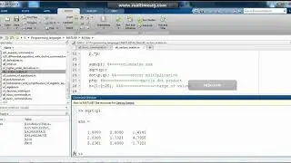 Matlab programming on vectors and matrix