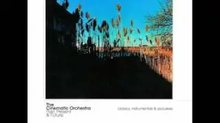 The Cinematic Orchestra - Time & Space (Vocal Edit)