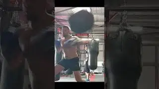 HEAVYWEIGHT BOXER PUNCHING BAG POWERFUL HIGHLIGHTS JULY 2024
