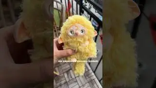 История чупика Моголя ✨