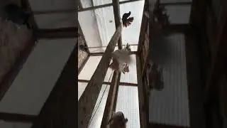 16 ноября 2021 г.
