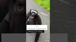 Признавайтесь, было?😅