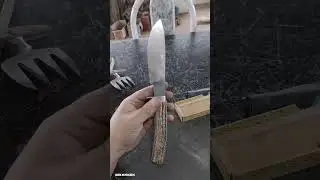 Hunter - Nesmuk - coreadeira - caça 