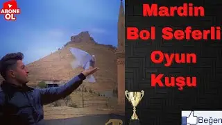 Mardin Bol Seferli Oyun Kuşu!!Mehmet OLCAR 