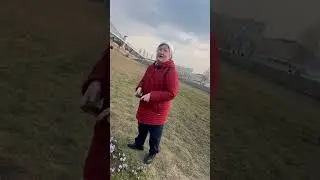 Закладка