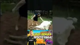этот прицел просто имба мем #мем #shortvideo #shortsvideo #shorts #short #meme #этотприцелпростоимба