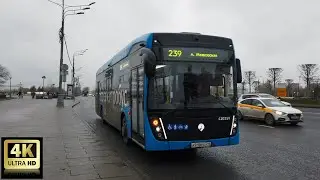 239 маршрут электробуса. 12.11.2022 год. Москва.