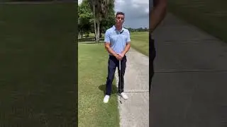 Ball on the Cart Path  Now What?