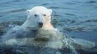 ТЕЛЕЦКОЕ  МОРЕ